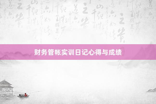 财务管帐实训日记心得与成绩